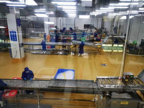 多图首发！解密水产智能化工厂与文化馆，探索未来水产新生态